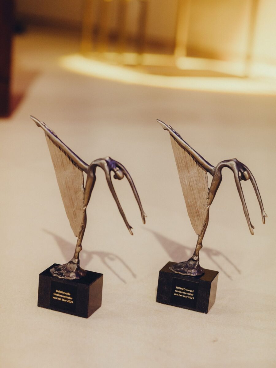 WomedAward 2025 - beeldjes voor de winnaressen